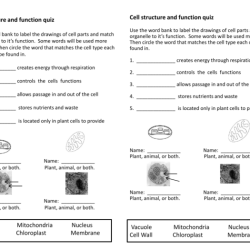 Cell structure and function worksheet with answers