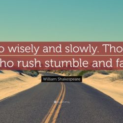 Go wisely and slowly. those who rush stumble and fall.