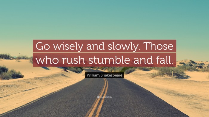 Go wisely and slowly. those who rush stumble and fall.