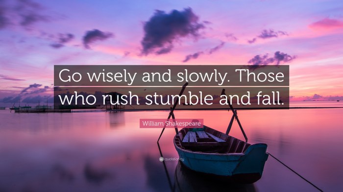 Go wisely and slowly. those who rush stumble and fall.